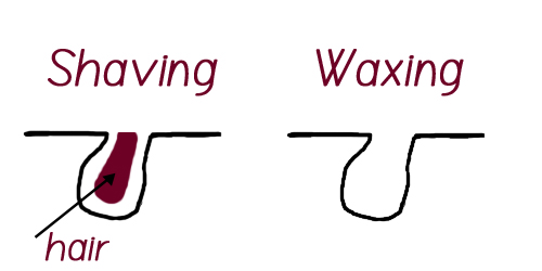 Which is better for men waxing body hair or shaving it? FOR MEN Salon and Spa offers both.