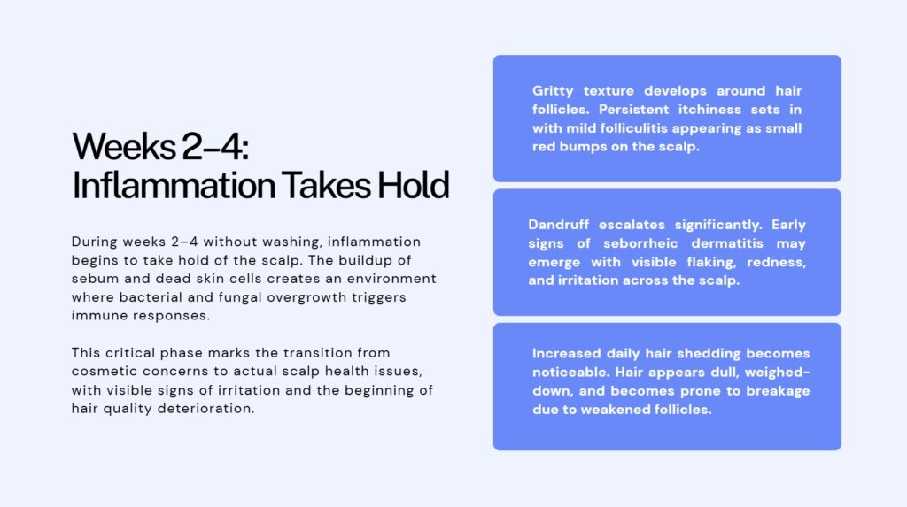 How often should I wash my hair? Not washing often enough could cause issues to the scalp skin. Read more at the m blog.