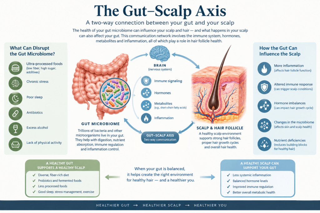 What causes hair loss? New research is looking into the gut-scalp axis. Learn more at The m Blog today.